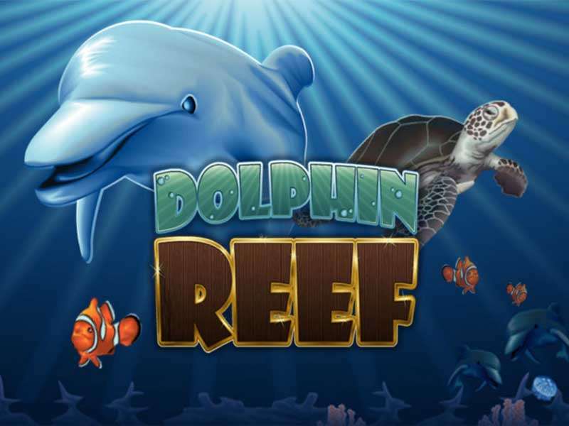 3 Tips to know about Dolphin Reef slot game