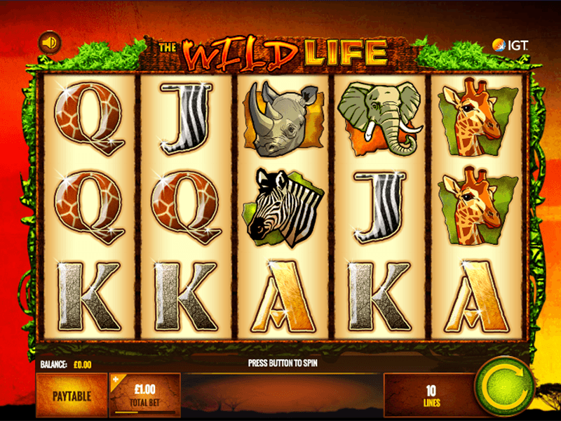 The Wild Life Slot