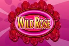 Wild Rose Slot